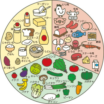 三色食品群と6つの基礎食品群