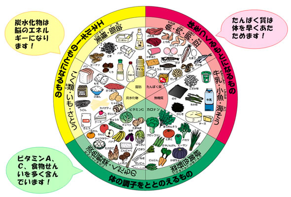 三色食品群と6つの基礎食品群