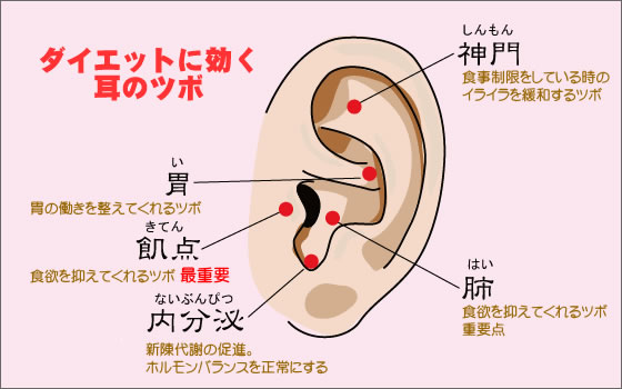 耳 つぼ ダイエット 自分 で